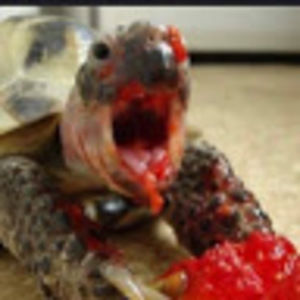 Meet your Posher, Emarkus911